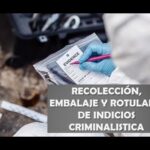 Protocolos de emergencia en colaboraci&oacute;n con la polic&iacute;a: una gu&iacute;a pr&aacute;ctica