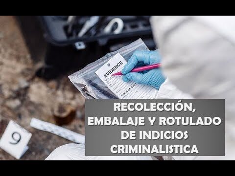 El funcionamiento de las pistolas en la policía científica: un análisis optimizado