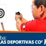 Restricciones legales sobre tenencia de pistolas