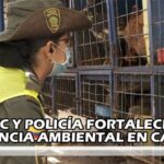 Optimización de Pistolas para Agentes de la Policía Migratoria
