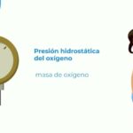 Redes de Comunicaci&oacute;n Estrat&eacute;gicas: Clave para el &Eacute;xito Empresarial