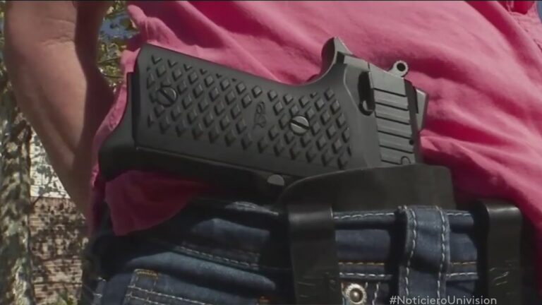Entrenamiento de Polic&iacute;a Aduanal con Pistolas: Optimizaci&oacute;n y Eficacia