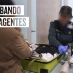 Supervisi&oacute;n eficaz de internos por la Guardia Civil