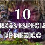 10 Estrategias Efectivas de Pacificación