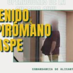 El papel de la Guardia Civil en la lucha contra los delitos cibern&eacute;ticos