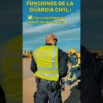 El papel de la Guardia Civil en la lucha contra los delitos cibern&eacute;ticos