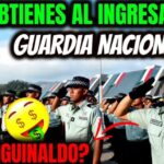 Guardia Civil: Control Eficaz de Migración ilegal en Fronteras