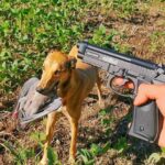 Pistolas Semiautom&aacute;ticas de Gran Calibre: Una Gu&iacute;a Completa