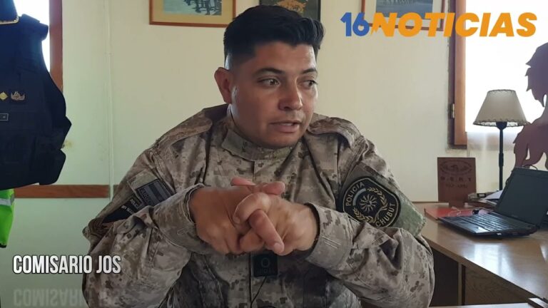 Uso eficiente de armas de fuego en la polic&iacute;a rural