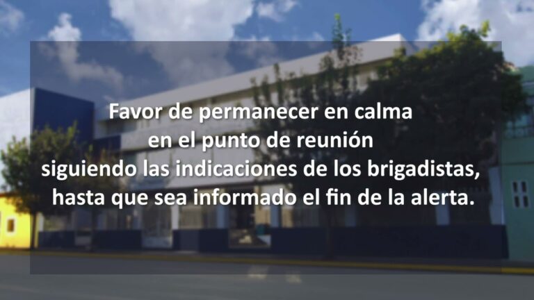 Protocolos de Seguridad Militar: Una Gu&iacute;a Concisa
