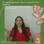 T&aacute;cticas de infiltraci&oacute;n y sabotaje: Estrategias para el &eacute;xito