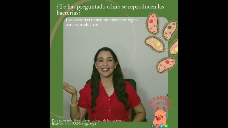 Adaptación en guerras desiguales: estrategias para sobrevivir