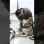 Importancia del Apoyo M&eacute;dico en el Ej&eacute;rcito