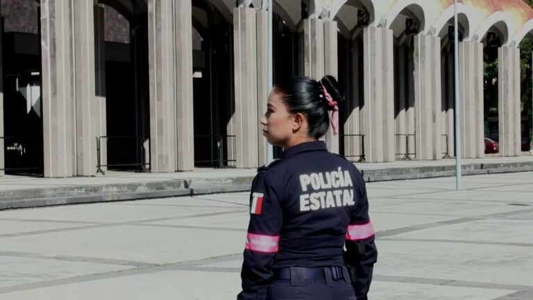 Protocolos de actuaci&oacute;n en manifestaciones: una gu&iacute;a concisa para la seguridad p&uacute;blica