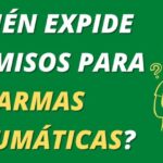 Selecci&oacute;n de munici&oacute;n &oacute;ptima para pistolas de la polic&iacute;a preventiva