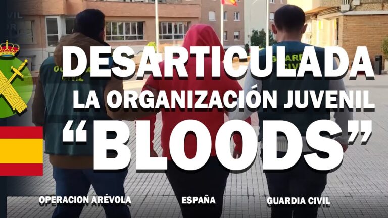Desarticulaci&oacute;n de Redes Delictivas: Estrategias para Combatir el Crimen
