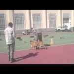 Prevención de Incidentes en Eventos: Estrategias Clave para un Evento Seguro