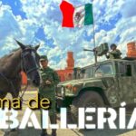Pistolas Semiautom&aacute;ticas de Gran Calibre: Una Gu&iacute;a Completa