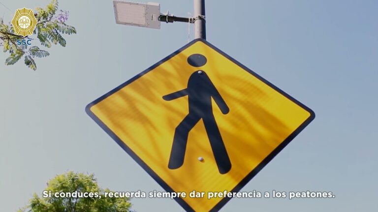 Seguridad Ciudadana en Eventos Masivos: Prioridades y Protocolos