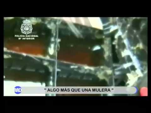 Estrategias efectivas para el control de drogas