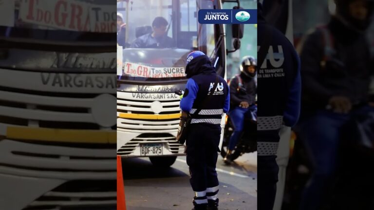 Colaboraci&oacute;n eficaz: Polic&iacute;a y usuarios del transporte p&uacute;blico