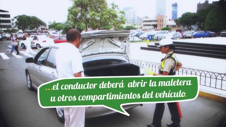 Inspección vehicular: la labor de la policía