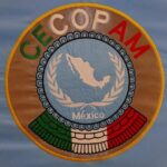 Optimización de la Coordinación en Operaciones de Rescate