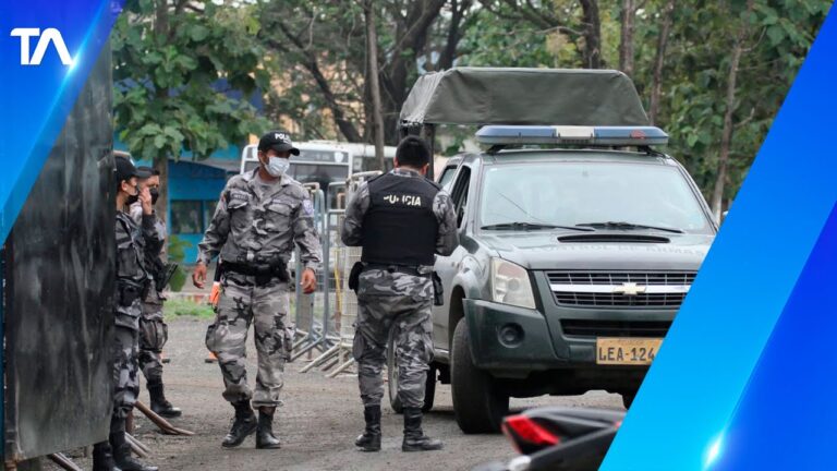 Armas de fuego en la polic&iacute;a penitenciaria: &iquest;necesidad o riesgo?