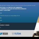 5 Estrategias Efectivas de Protecci&oacute;n Cibern&eacute;tica