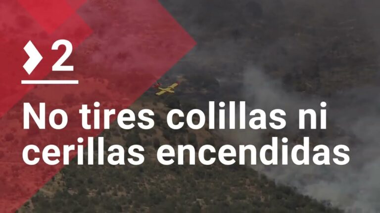 Consejos contra incendios forestales