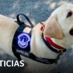 Selecci&oacute;n de munici&oacute;n &oacute;ptima para pistolas de la polic&iacute;a preventiva