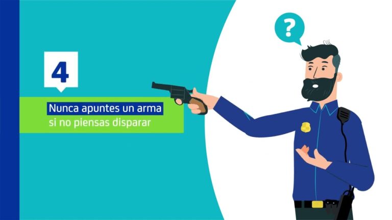 Seguridad y armas de fuego: una gu&iacute;a concisa