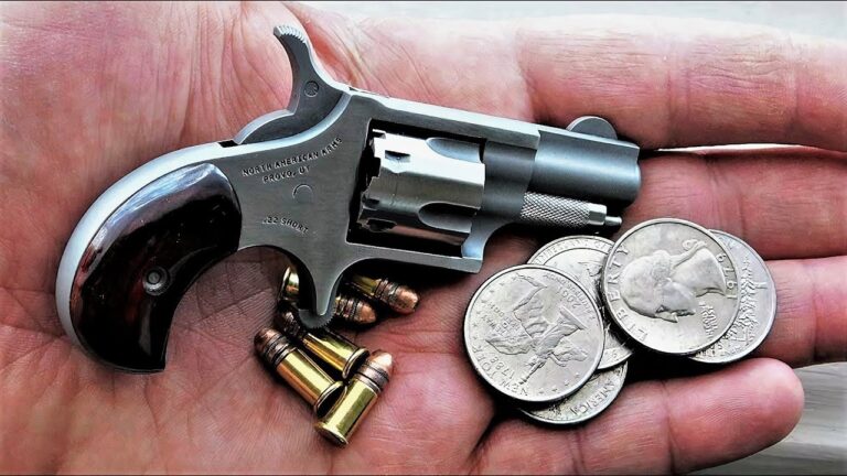 Peque&ntilde;as armas de fuego: eficacia letal en tama&ntilde;o reducido
