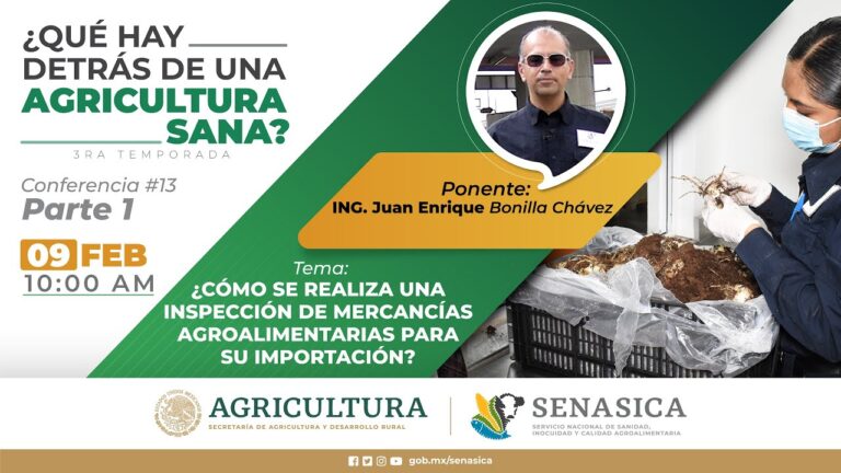 Mejores Prácticas en Inspección Aduanera