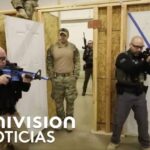 Funciones policiales en fronteras: un análisis