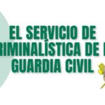 El papel de la Guardia Civil en la lucha contra los delitos cibern&eacute;ticos