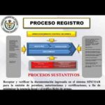 Pol&iacute;ticas efectivas de control de armas: una necesidad urgente