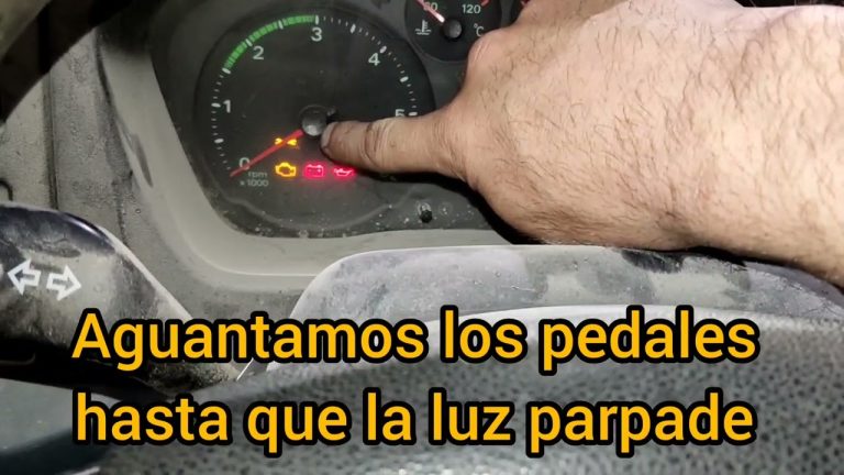 Descubre cómo borrar el servicio de tu Ford Transit en simples pasos