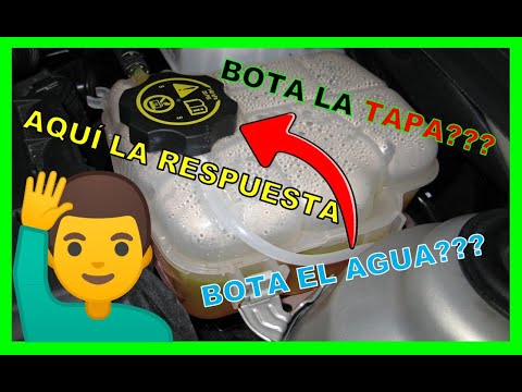 &iexcl;Descubre ahora por qu&eacute; tu auto pierde agua del dep&oacute;sito!