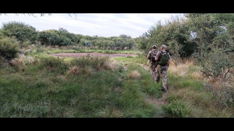Descubre la guía TV de Caza y Pesca: ¡No te pierdas las mejores aventuras!