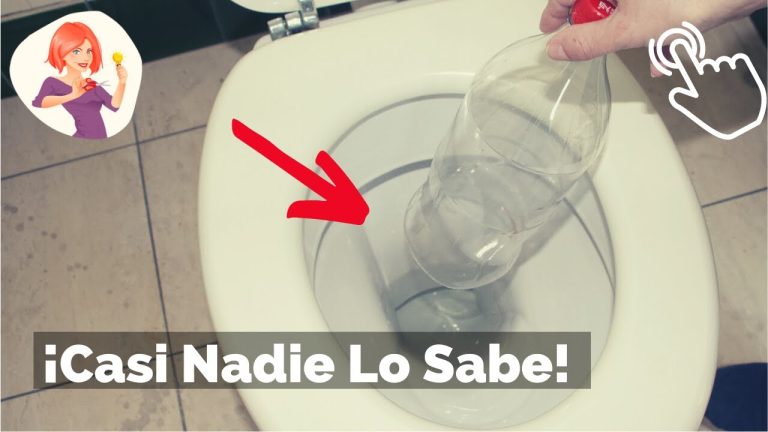 Innovadora sopapa casera: la soluci&oacute;n perfecta para tu inodoro