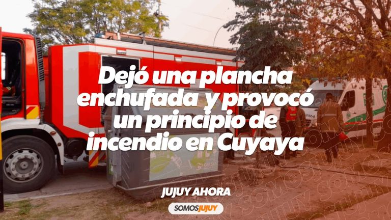Alerta: Peligros de dejar la plancha prendida todo el día