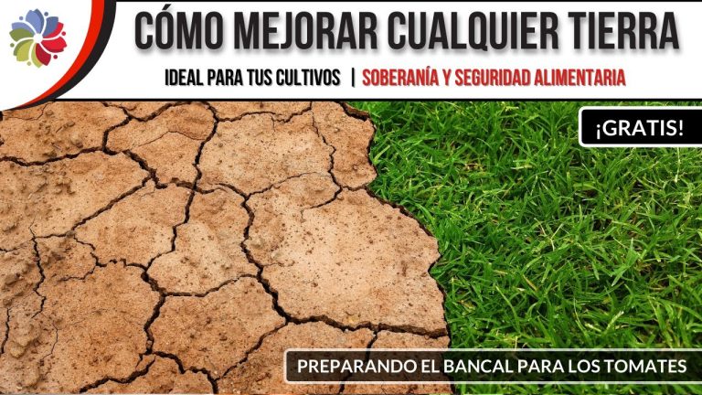 Descubre los incre&iacute;bles usos de la tierra tosca en tu hogar