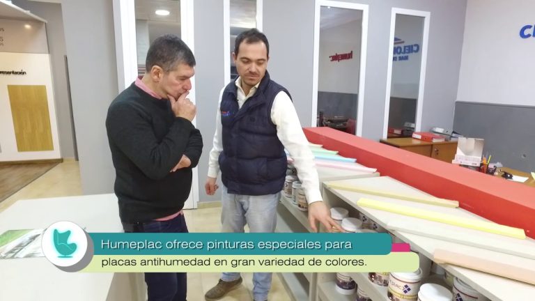 La pintura perfecta para combatir la humedad: descubre qué usar en placas antihumedad