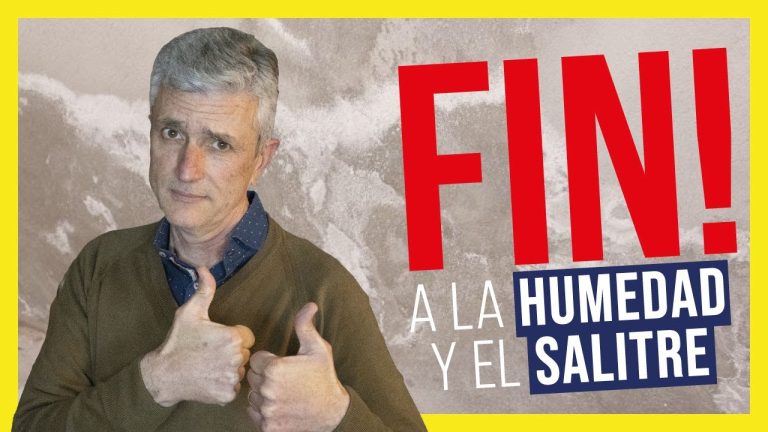 Descubre c&oacute;mo eliminar el salitre de forma efectiva en tus paredes