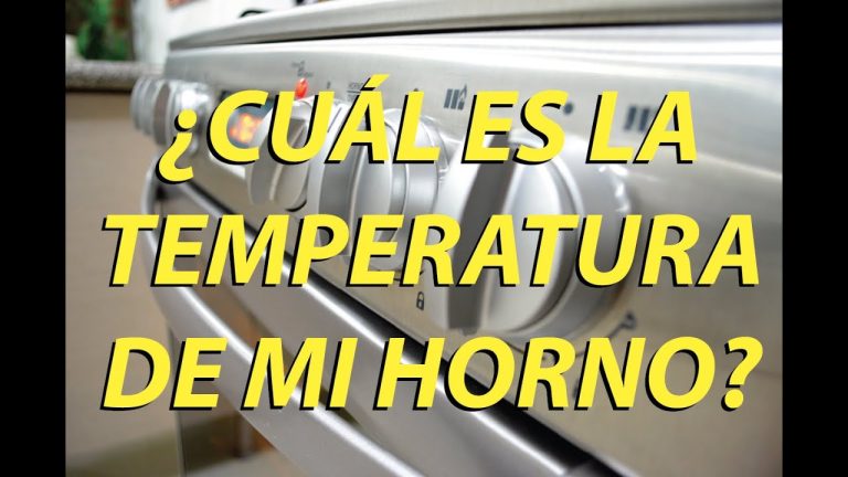 Descubre el truco para cocinar a la perfecci&oacute;n a 160 grados en el horno