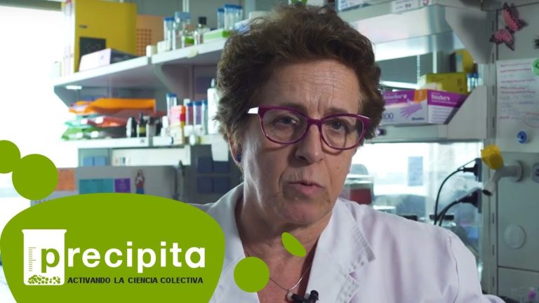 Las cucarachas: un peligro para tus aparatos eléctricos