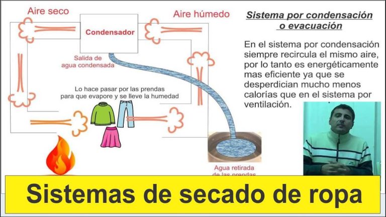 Descubre el secarropas por calor l&iacute;der en Argentina: &iquest;Cu&aacute;l es el mejor?