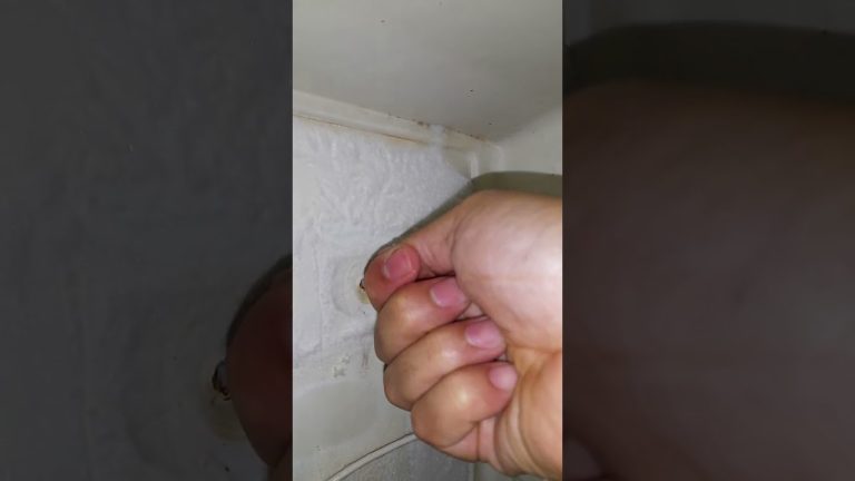 El enigma de la heladera: &iquest;Por qu&eacute; hace hielo en la parte de atr&aacute;s?